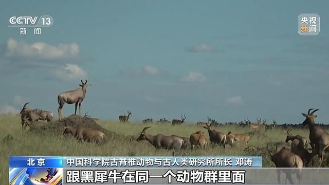 非洲黑犀牛起源于中国？中科院:1000多万年前原始先民就生活在中国的土地上。  第2张