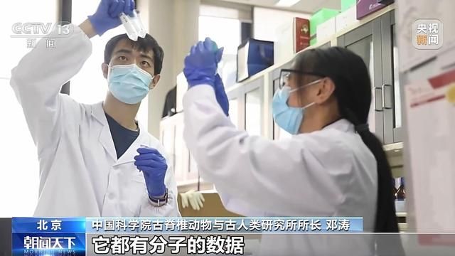 非洲黑犀牛起源于中国？中科院:1000多万年前原始先民就生活在中国的土地上。  第4张