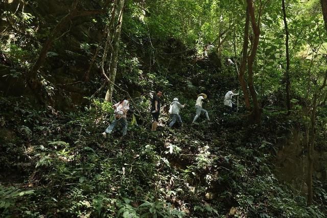 旅游|有一种生活叫云南:文化与旅游深度融合的江城实践。  第3张