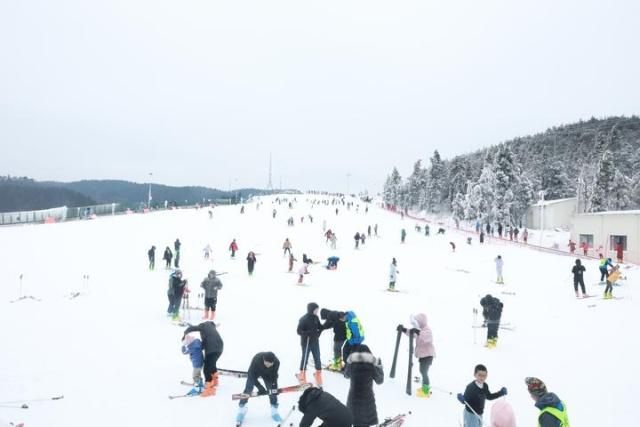 你不必去瑞士、北海道、长白山或向雪。浙江也有滑雪的好地方。  第8张