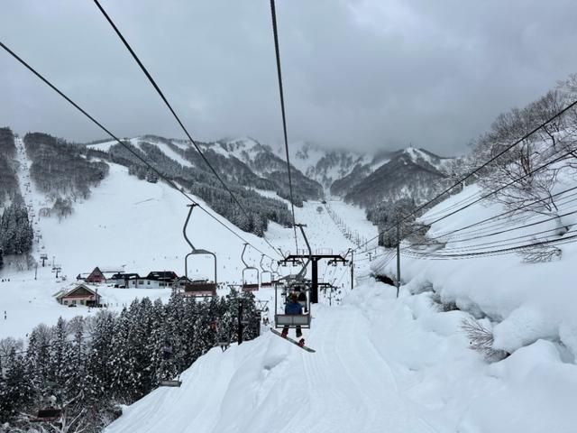 接待处的记者看着日本境外雪原的雪崩惨剧:如果雪滑得好，能少一分安全吗？  第5张