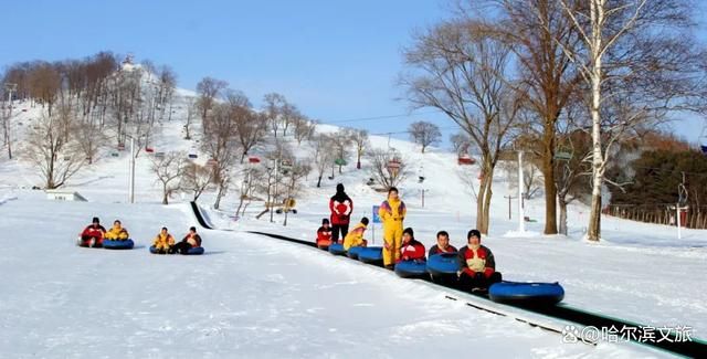 路线推荐|来哈尔滨，体验一次民俗滑雪之旅。  第3张