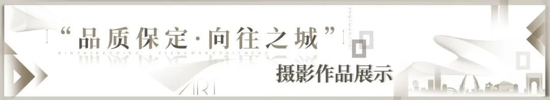 党小龙参加了所在党支部的专题教育组织生活会议。  第4张