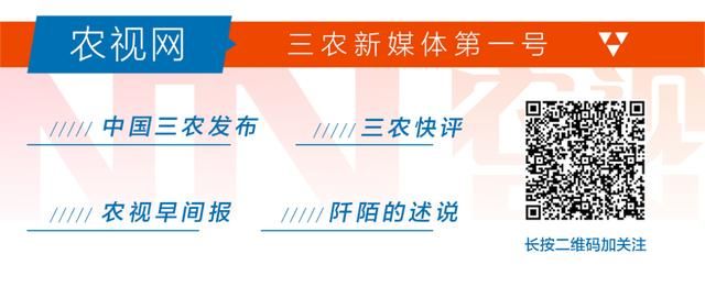 心理医生，请回答:当未来充满不确定性，生活如何继续？建筑的叙述  第14张