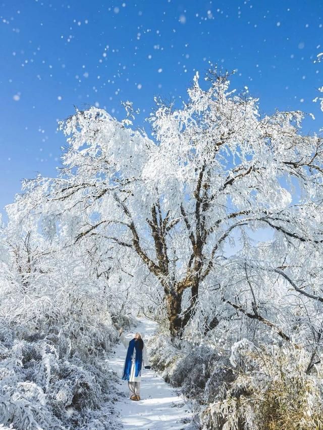 你知道|在“二滨”前四川哪些景区还能赏冰滑雪  第3张