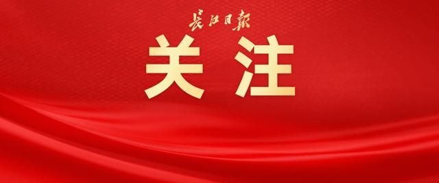 今年武汉人生活变化很大！