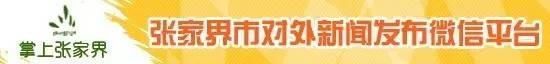 市政府党组召开主题教育专题民主会议生活（更多）