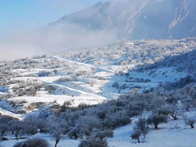 去哪里滑雪？翻翻这本《四川冬季滑雪指南》你就知道了！  第10张