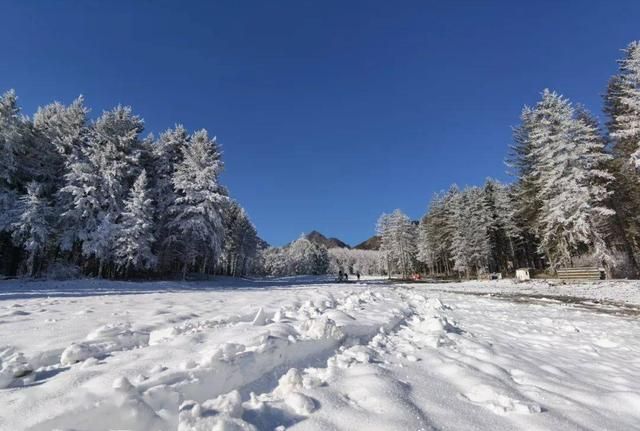 去哪里滑雪？翻翻这本《四川冬季滑雪指南》你就知道了！  第35张