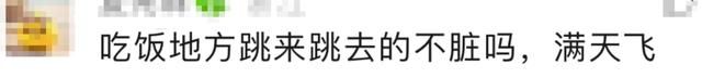 “这种东西为什么会火？”杭州妈妈吐槽，先冲上热搜:带宝宝吃海底捞，让人很难受。  第21张