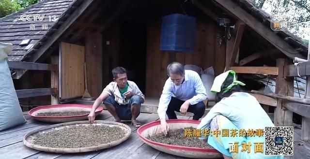 为什么景迈山？探索世界首个以茶为主题的世界遗产  第3张