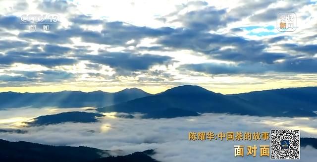 为什么景迈山？探索世界首个以茶为主题的世界遗产  第4张