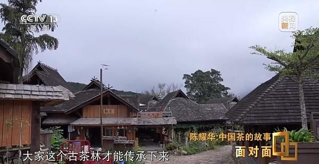 为什么景迈山？探索世界首个以茶为主题的世界遗产  第21张