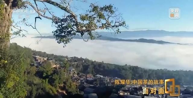 为什么景迈山？探索世界首个以茶为主题的世界遗产  第26张