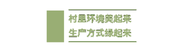 看着镜子里的幸福中国和美丽乡村生活  第1张