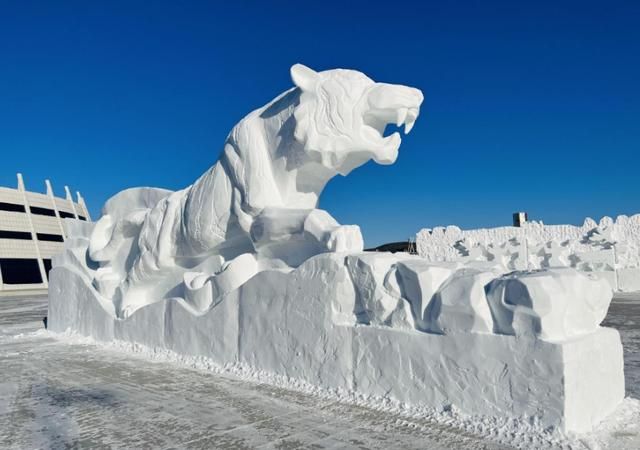 旅游|滑雪、温泉、滑冰...寻找北方冬天最纯粹的味道。  第25张