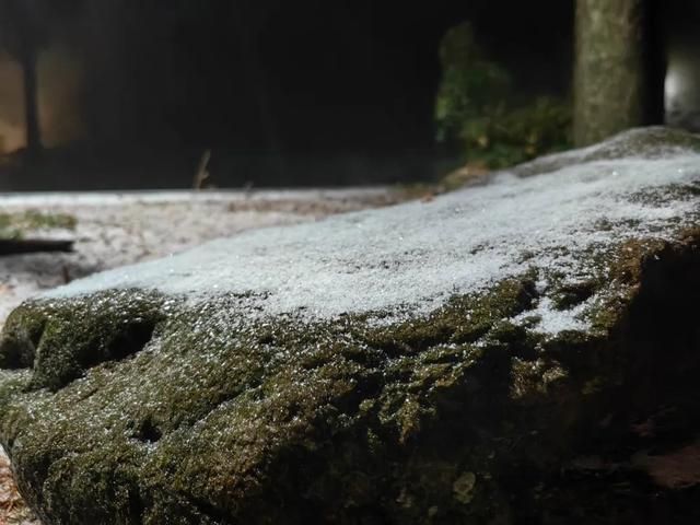 经常下雪！还有气温骤降，浙江发布紧急通知。  第13张