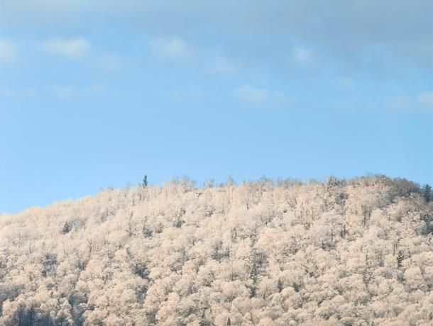 中国向雪风景区下雪了。