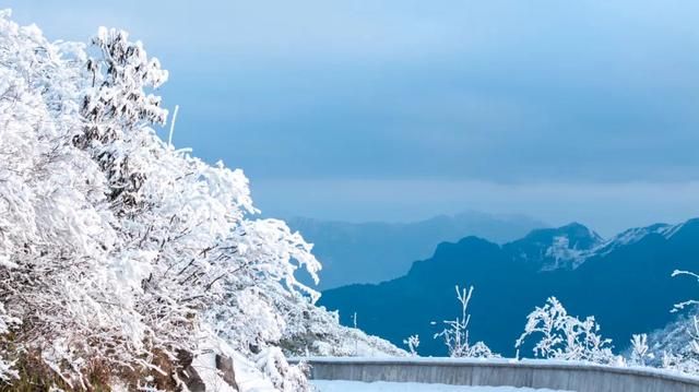 下雪了巴山大峡谷又下雪了！  第5张