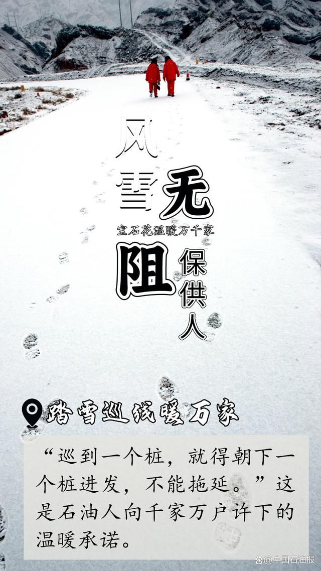 下雪了，谁在守护温暖？  第6张