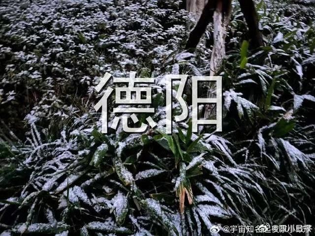 持续关注|成都罕见降雪  第5张