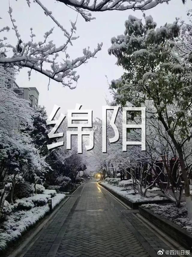 持续关注|成都罕见降雪  第4张