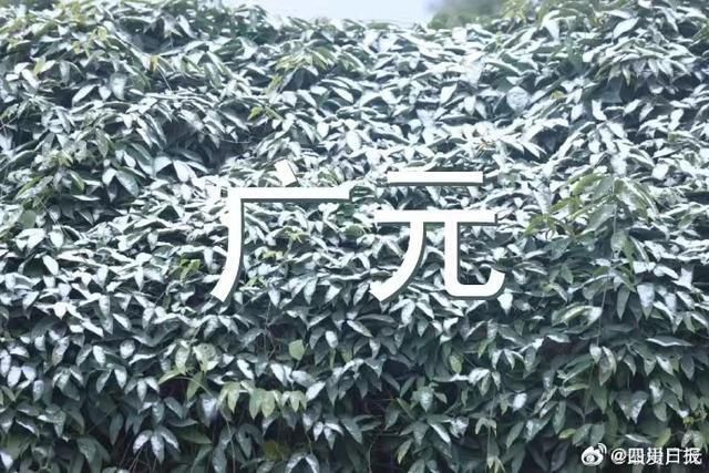 持续关注|成都罕见降雪  第6张