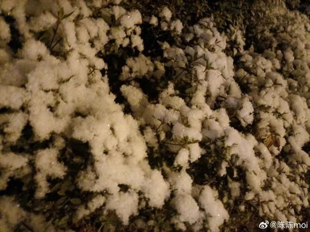 持续关注|成都罕见降雪  第10张