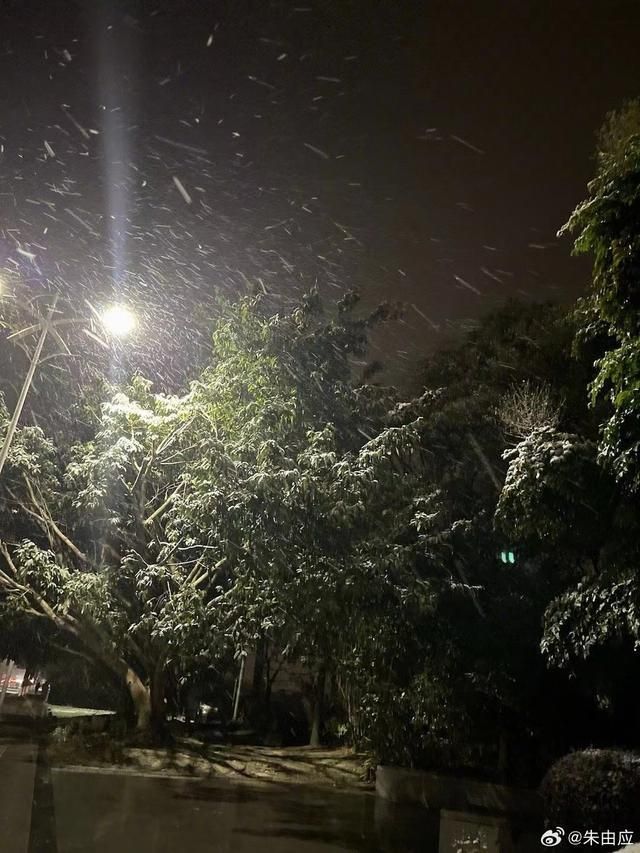 持续关注|成都罕见降雪  第12张