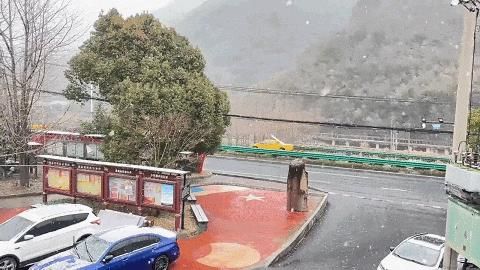 暴雪预警！浙江有暴雪！今天早上，杭州很多地方都是白色的...这一天，它掉头直奔15°c。