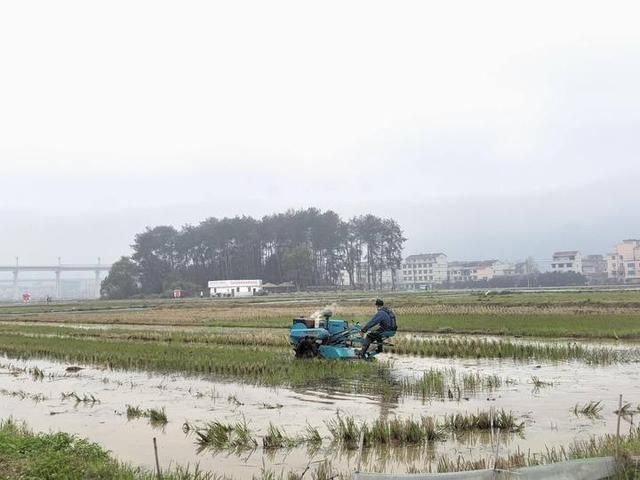 永康为什么跑出“不毛之地  第4张