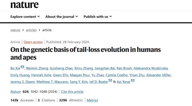 我为什么没有尾巴？在一次意外受伤后，他的论文登上了《自然》杂志的封面。  第4张