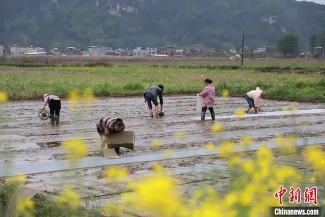 事问|邵凤丽:为什么用“小时”代替“大小时”？  第4张